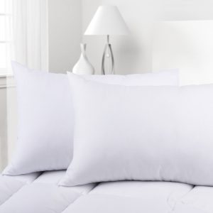 Super Soft Pillow and Cushion